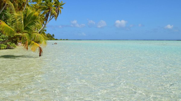 Découvrez les atouts d'une location de vacances à la campagne