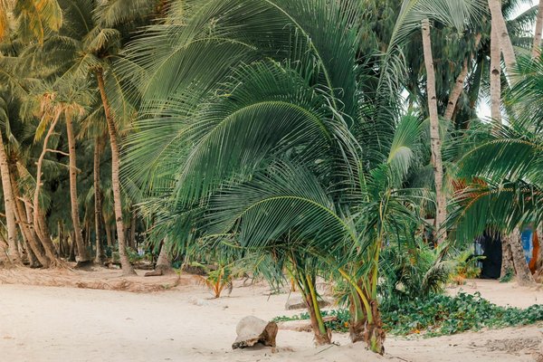 Les campings incontournables à saint-georges-de-didonne