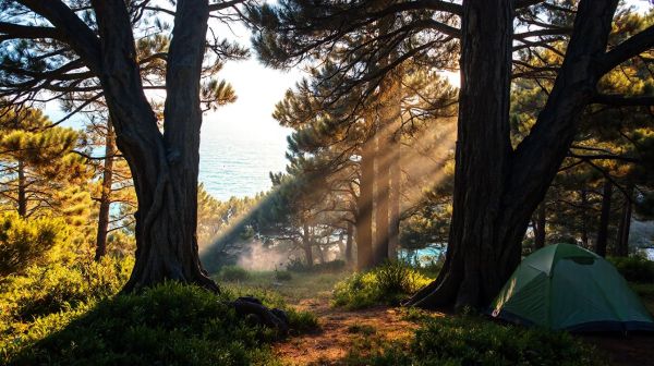Profitez d'un séjour relaxant au camping l'argentière proche de la mer
